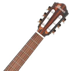 Ibanez FRH10N Natural Flat Nylon String Guitar