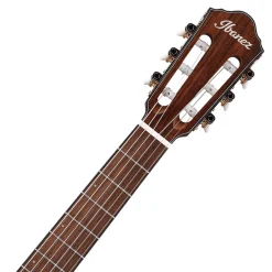 Ibanez FRH10N Rose Gold Metallic Flat Nylon String Guitar