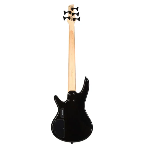 Ibanez GSR205SM - Natural Grey Burst