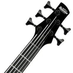 Ibanez GSR205SM - Natural Grey Burst