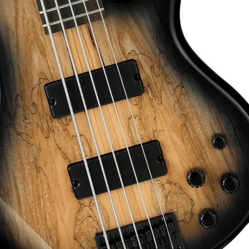 Ibanez GSR205SM - Natural Grey Burst