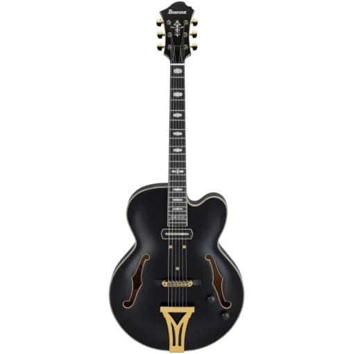 Ibanez PM3C Pat Metheny Signature Electric Guitar - Black Low Gloss