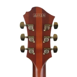 Ibanez PM3C Pat Metheny Signature Electric Guitar - Natural Amber Low Gloss