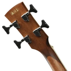 Ibanez PNB14E OPN Acoustic Bass Guitar