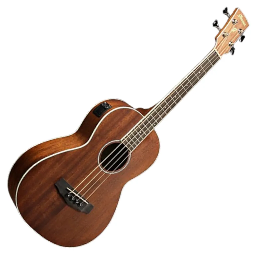 Ibanez PNB14E OPN Acoustic Bass Guitar