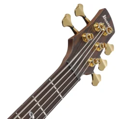 Ibanez SR5505 5-String Bass Ovangkol Top with Rosewood Fretboard and Case - Mocha Flat