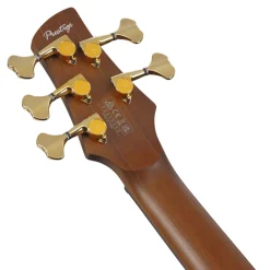 Ibanez SR5505 5-String Bass Ovangkol Top with Rosewood Fretboard and Case - Mocha Flat
