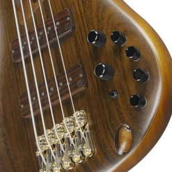 Ibanez SR5505 5-String Bass Ovangkol Top with Rosewood Fretboard and Case - Mocha Flat