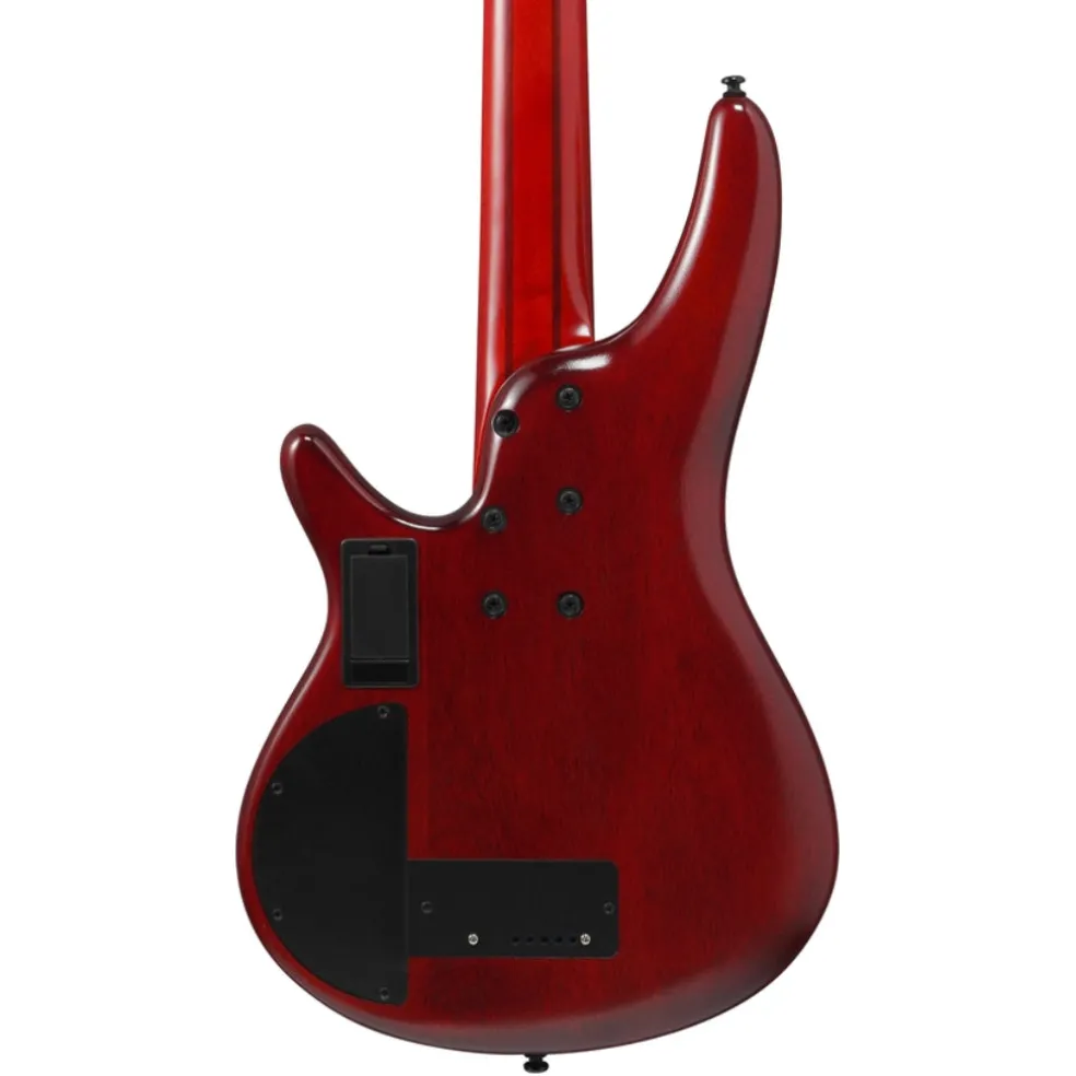 Ibanez SRD905FBTL 5 String Electric Bass Guitar Brown Topaz Burst Low Gloss