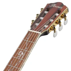 Ibanez Tim Henson TOD10NL Signature Left Handed Nylon Guitar