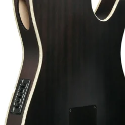 Ibanez Tim Henson TOD10NL Signature Left Handed Nylon Guitar