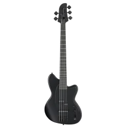 Ibanez TMB425B Black Flat 5 String Electric Bass