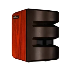 LR Baggs Synapse Personal PA System