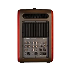 LR Baggs Synapse Personal PA System