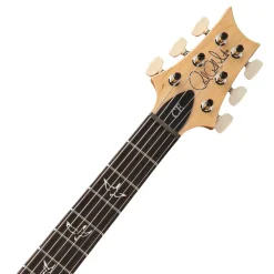 PRS CE 22 Limited Edition Rosewood Fretboard - Faded Grey Black, Maple Top