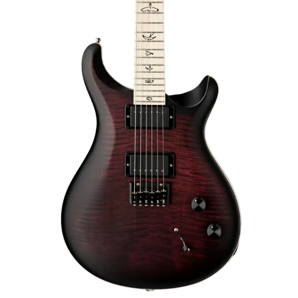 PRS Dustie Waring Hardtail - Waring Burst