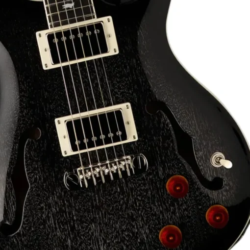 PRS SE Hollowbody Standard Piezo - Dog Hair Smokeburst