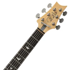 PRS Silver Sky Limited Edition - Dead Spec