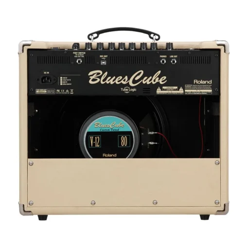 Roland Blues Cube Stage