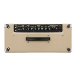 Roland Blues Cube Stage