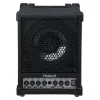 Roland Cube Monitor