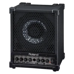Roland Cube Monitor