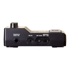 Roland El-Cajon Mic Processor