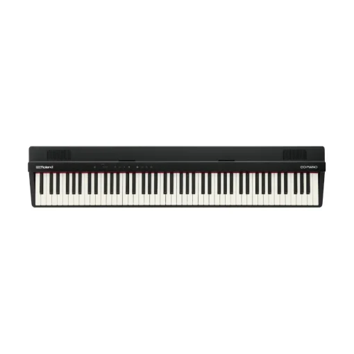Roland GO:PIANO88 PX 88-Key Music Creation Keyboard