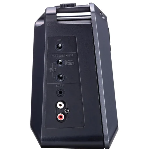 Roland MOBILE CUBE Battery-Powered Stereo Amplifier