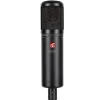 sE 2300 Large Diaphragm Multi-pattern Condenser Microphone