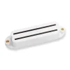 Seymour Duncan SHR 1N Hot Rails For Strat White Neck