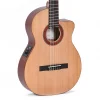 Sigma CTMC2E Classical Cutaway with EQ