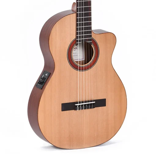 Sigma CTMC2E Classical Cutaway with EQ