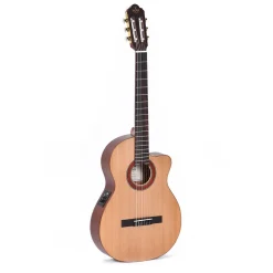 Sigma CTMC2E Classical Cutaway with EQ