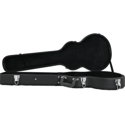 Sky Les Paul Case