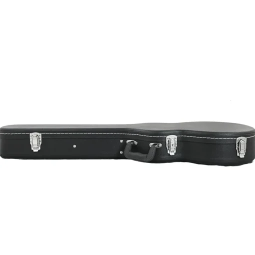 Sky Les Paul Case