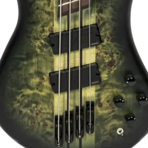 Spector Dimension Multiscale Bass - 4 Haunted Moss