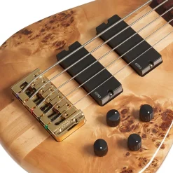 Spector Euro 5 LX Bass Guitar - Poplar Burl Gloss