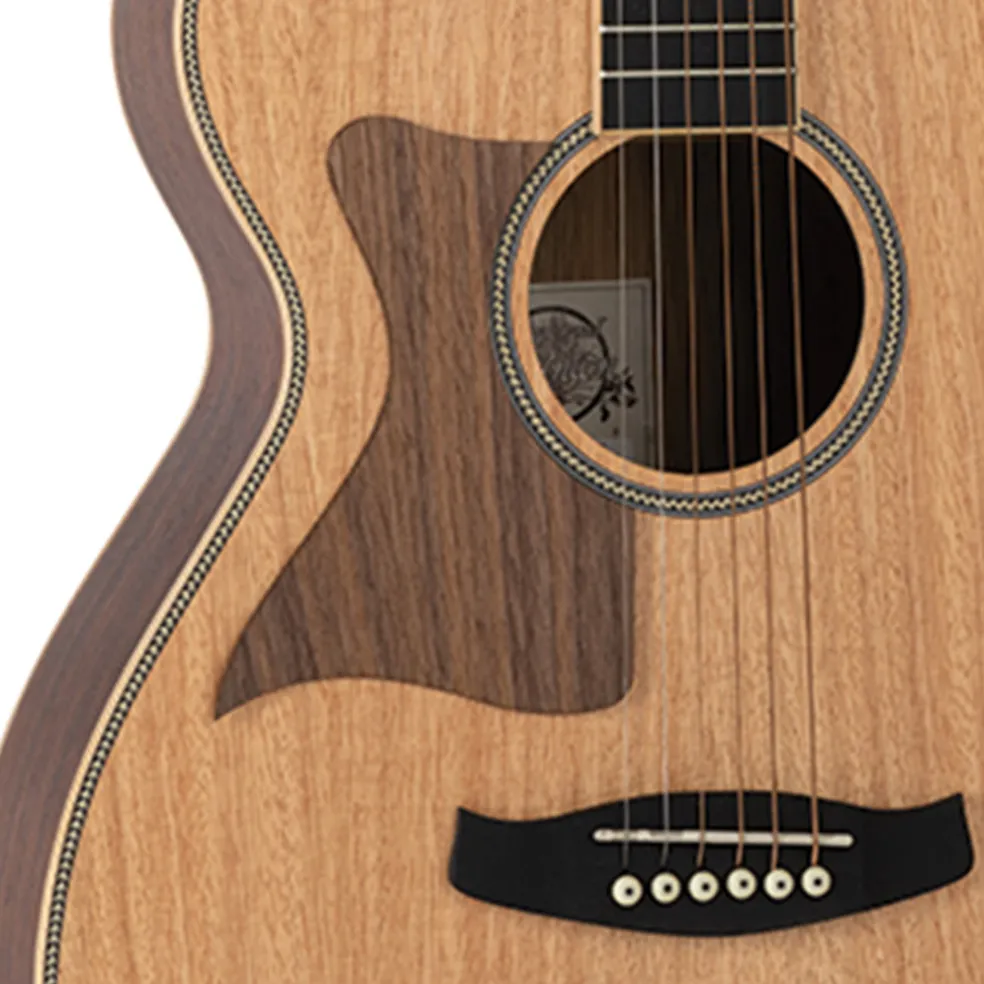 Tanglewood TRU3-HR-LH Reunion Pro Solid Australian Red Cedar Top Folk with Hawaiian Rain Wood Back and Sides Left Handed