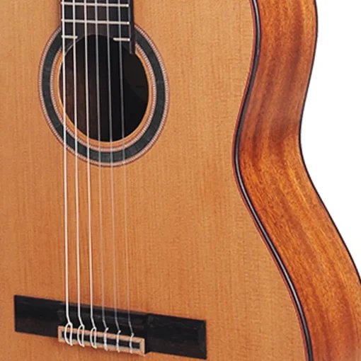 Valenica 700 Series 4/4 Solid Top Classic - Nat