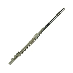 WS 3310-9 Flute Key of C Made in Germany with Hardcase
