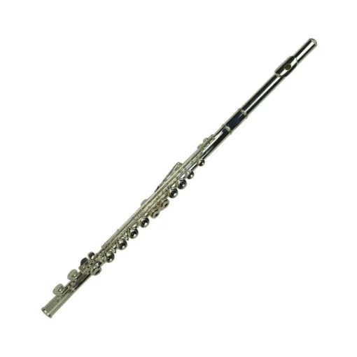 WS 3310-9 Flute Key of C Made in Germany with Hardcase
